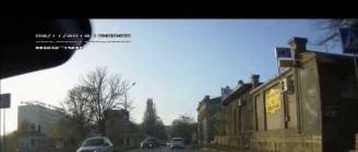Собака и пешеходный переход / Dog Uses Crosswalk