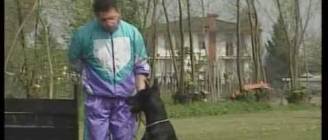 εκπαιδευση σκυλου