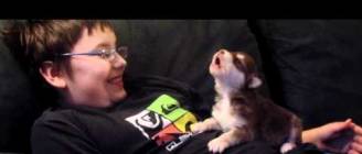 Belka(Alaskan Malamute/Siberian Husky),our 20 day old pup howling