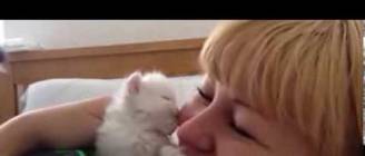 cute kitten kisses my face :)