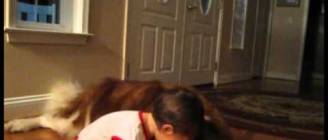 Baby hugs St. Bernard