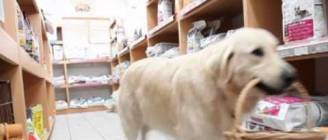 Clever food.  Clever dog.