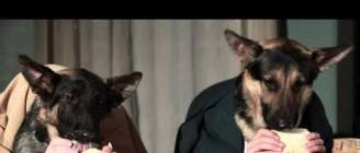 Odin and Pippin Try To Have Dinner Together