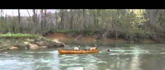 Dog Saves Friends in Canoe