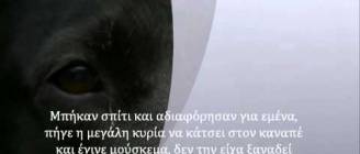 Η ιστορία ενός σκύλου! Απίστευτη Ιστορία