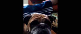 Don't call her Butkus!