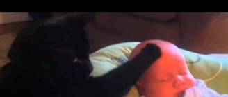 Katze streichelt Baby in den Schlaf