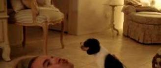 Beagle Puppy at 3 weeks "Cutest Thing Ever"