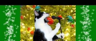 I'm Climbing Up The Christmas Tree NEOW 2013!