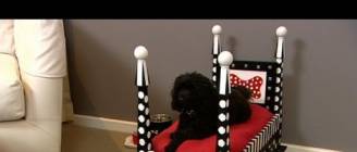 Better Homes and Gardens - Decorating: how to make a dog bed