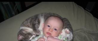 Funny Cats Protecting Babies Compilation 2014 [NEW HD]