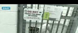 ΚΟΥΤΑΒΙ ΑΠΟ PETSHOP