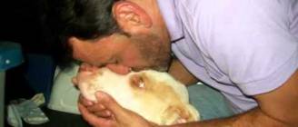 Davi, le pit bull sauvé de la mort