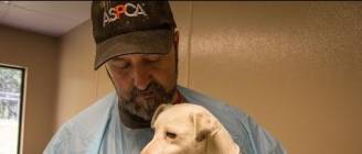 Traumatized Puppy Mill Dog Makes an Amazing Recovery